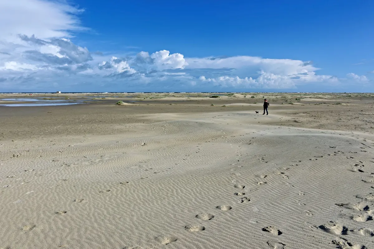 Walking the South West Coast Path: A Beginner's Guide to Section Hiking